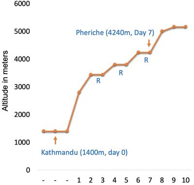 Genome-Wide DNA Methylation Changes Associated With High-Altitude Acclimatization During an Everest Base Camp Trek